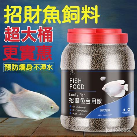 戰船魚吃什麼|招財魚飼料資料史上最全 